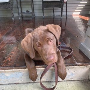 Meet your Posher, Jill